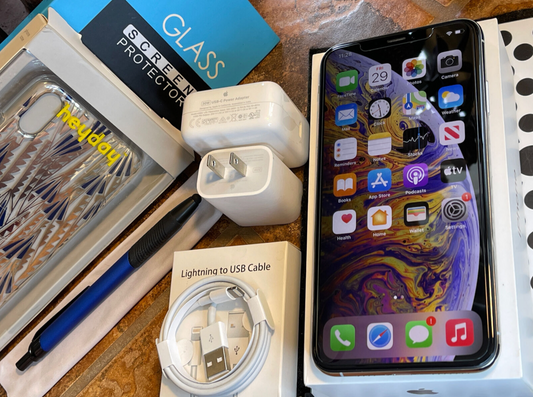 Apple iPhone XS MAX (64gb) Factory Unlocked (A1921) Silver {iOS14} Privacy Screen/ MiNT