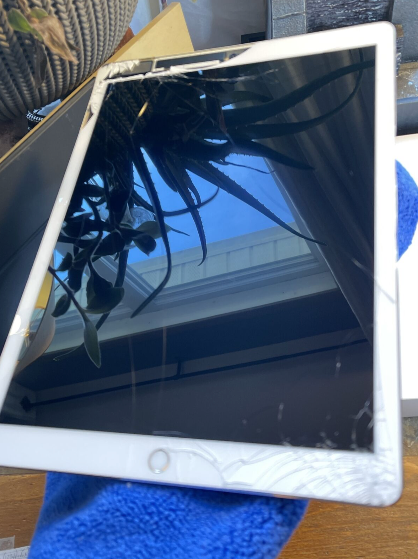 Apple iPad Pro 12.9 1st (128gb) Cellular Unlocked (A1652) Fractured {iOS14}91% {JailBreak}